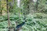 19455 Hogback Road - Photo 49