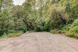 19455 Hogback Road - Photo 51