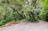 19455 Hogback Road - Photo 52