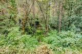 19455 Hogback Road - Photo 53