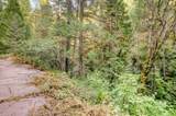 19455 Hogback Road - Photo 54