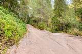 19455 Hogback Road - Photo 55