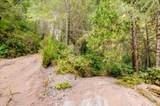 19455 Hogback Road - Photo 56