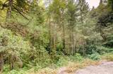 19455 Hogback Road - Photo 57