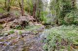 19455 Hogback Road - Photo 60