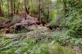 19455 Hogback Road - Photo 61
