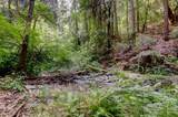 19455 Hogback Road - Photo 62