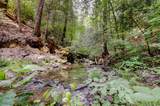19455 Hogback Road - Photo 63
