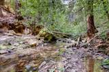 19455 Hogback Road - Photo 64