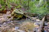 19455 Hogback Road - Photo 65
