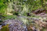 19455 Hogback Road - Photo 66