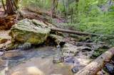 19455 Hogback Road - Photo 68