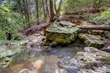 19455 Hogback Road - Photo 69