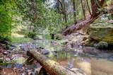 19455 Hogback Road - Photo 70