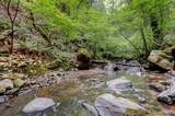 19455 Hogback Road - Photo 72
