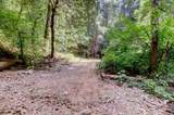 19455 Hogback Road - Photo 73
