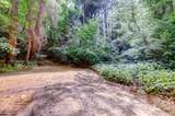 19455 Hogback Road - Photo 74