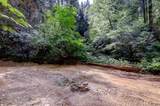 19455 Hogback Road - Photo 75
