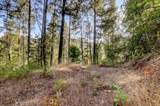 19455 Hogback Road - Photo 78