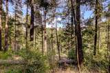 19455 Hogback Road - Photo 79