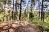 19455 Hogback Road - Photo 8