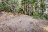19455 Hogback Road - Photo 80