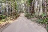 19455 Hogback Road - Photo 81