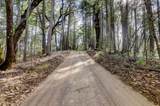 19455 Hogback Road - Photo 82
