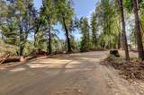 19455 Hogback Road - Photo 85