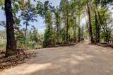 19455 Hogback Road - Photo 86