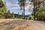 19455 Hogback Road - Photo 9