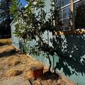 18307 Oak Tree Road - Photo 11