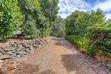 12318 Pepperwood Circle - Photo 31