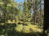 15473 Blind Shady Road - Photo 10