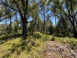 15473 Blind Shady Road - Photo 11