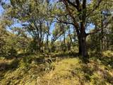15473 Blind Shady Road - Photo 12