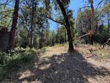 15473 Blind Shady Road - Photo 13