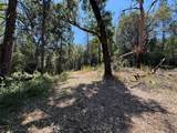 15473 Blind Shady Road - Photo 14
