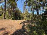 15473 Blind Shady Road - Photo 15