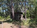 15473 Blind Shady Road - Photo 6
