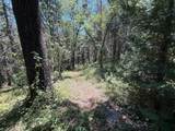 15473 Blind Shady Road - Photo 9