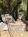 14899 Shenandoah Road - Photo 12