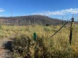 0 Grizzly Flat Road - Photo 7