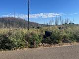 0 Grizzly Flat Road - Photo 9