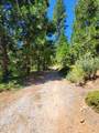 0 Lily Valley Cr - Photo 40