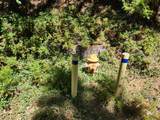 0 Lily Valley Cr - Photo 45