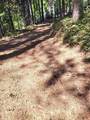 0 Quarts Mountain Rd - Photo 9