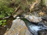 19707 Grizzly Creek Road - Photo 11