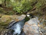 19707 Grizzly Creek Road - Photo 12