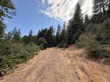 19707 Grizzly Creek Road - Photo 2